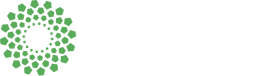 Pixels Formation